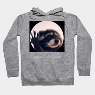 Dancing Racoon Meme Design Hoodie